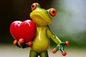 love-valentines-day-pose-heart-funny-frog-animal-1