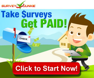 Is Survey Junkie Legit Or A Scam Highlander Money - a quick important comment on survey sites